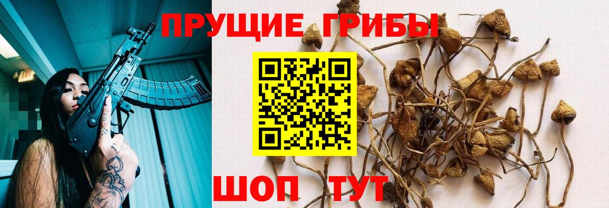 Псилоцибиновые грибы Psilocybe  Псилоцибиновые грибы MAGIC MUSHROOMS  Вход с VPN  Чита 