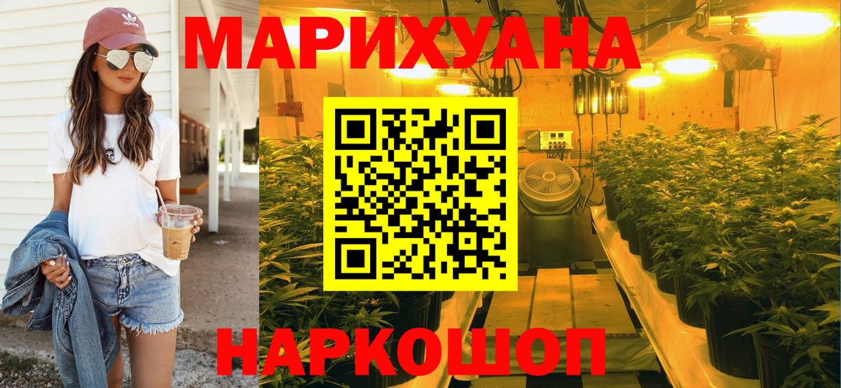 Бошки Шишки OG Kush  Вход с VPN  Чита  Марихуана план  Канабис SATIVA & INDICA 